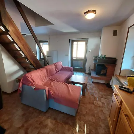 Apartment Oasis House