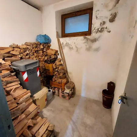 Apartament Oasis House *