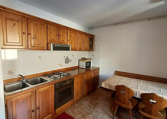 Apartment Oasis House